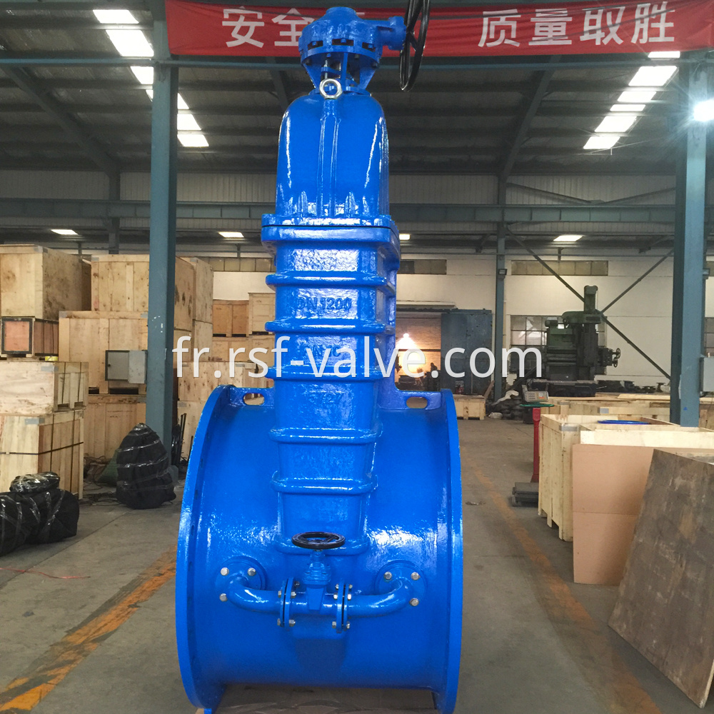 Resilient Gate Valve With Bypass